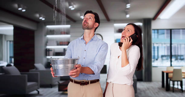 Best Water damage mitigation services  in USA